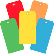 13 Pt. Shipping Tags, #5, 4-3/4" x 2-3/8", Assorted Colors - 1000 Pack
