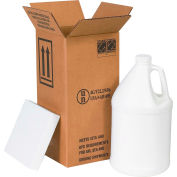 Global Industrial One 1 Gal. Plastic Jug Haz Mat Shipper Kit, 6"L x 6"W x 12-3/4"H