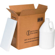 Two 1 Gal. Plastic Jug Haz Mat Shipper Kit, 12"L x 6"W x 12-3/4"H