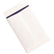 Ship-Lite® Flat Envelopes With End Opening, 9"L x 6"W, White, 100/Pack