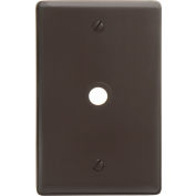 Bryant NP11 Telephone and Coax Plate, 1-Gang, Standard, Brown Nylon, Box