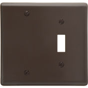 Bryant NP113 Toggle Blank Combo Plate, 2-Gang, Standard, Brown Nylon