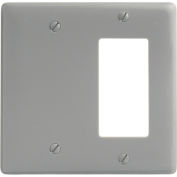 Bryant NP1326GY Blank Styleline Combo Plate, 2-Gang, Standard, Gray Nylon