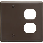 Bryant NP138 Blank Duplex Combo Plate, 2-Gang, Standard, Brown Nylon