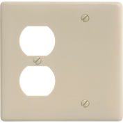 Bryant NP138I Blank Duplex Combo Plate, 2-Gang, Standard, Ivory Nylon