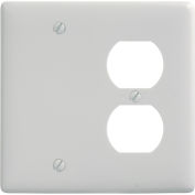 Bryant NP138W Blank Duplex Combo Plate, 2-Gang, Standard, White Nylon