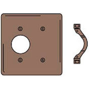 Bryant NP147 Single Blank Combo Plate, 2-Gang, Standard, Brown Nylon