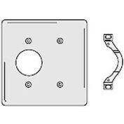 Bryant NP147W Single Blank Combo Plate, 2-Gang, Standard, White Nylon