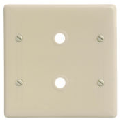 Bryant NP21I Telephone and Coax Plate, 2-Gang, Standard, Ivory Nylon