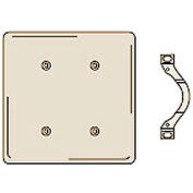 Bryant NP24I Strap Mounted Blank Plate, 2-Gang, Standard, Ivory Nylon