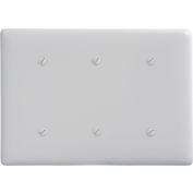 Bryant NP34W Strap Mounted Blank Plate, 4-Gang, Standard, White Nylon