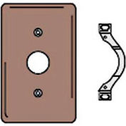 Bryant NP730 Telephone and Coax Plate, 1-Gang, Standard, Brown Nylon, Strap