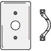 Bryant NP730W Telephone and Coax Plate, 1-Gang, Standard, White Nylon