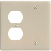 Bryant NPJ138I Blank Duplex Combo Plate, 2-Gang, Mid-Size, Ivory Nylon