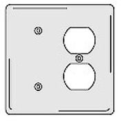 Bryant NPJ138W Blank Duplex Combo Plate, 2-Gang, Mid-Size, White Nylon