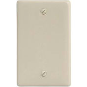 Bryant NPJ13I Box Mounted Blank Plate, 1-Gang, Mid-Size, Ivory Nylon