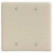 Bryant NPJ23I Box Mounted Blank Plate, 2-Gang, Mid-Size, Ivory Nylon