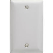 Bryant Ss13 Telephone And Coax Plate, 1-Gang, Standard, Satin Stainless, Blank - Pkg Qty 10