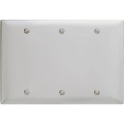 Bryant SS33 Box Mounted Blank Plate, 3-Gang, Standard, Satin Stainless