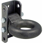 Buyers Products 5-Position Adjustable Eye Assembly w/ 3" Channel - B18135