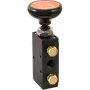 Buyers Pneumatic Air Valve, BAV015, 1/4", 5-Port, 3-Position Detented, 4-Way Air Valve