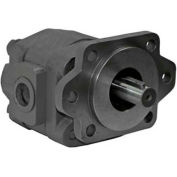 Hydrastar H21 Series Hydraulic Pump, H2136123, 2/4 Bolt, 3000 Max Pressure, 1" Keyed 1/4 KW Shaft