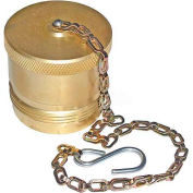 Wing Type Quick Detach Hydraulic Coupler, Qddp202, 1-1/4" Npt Coupler, Dust Cap W/Chain-Min Qty 2