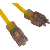 Bayco® Single-Tap Extension Cord w/ Lighted Ends SL-774L, 100'L Cord, 10/3 GA, Yellow