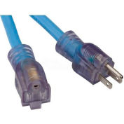 Bayco® Single-Tap All Season Cord W/Lighted End SL-998, 100'L Cord, 12/3 GA, Blue, 2-PK - Pkg Qty 2
