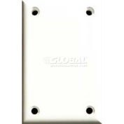 Cortech USA, TPBB, High Security Single Blank Cover Plate, W/Hardware 1/Pack