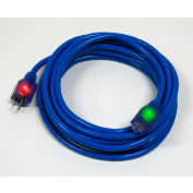 Pro Glo® D17006100 Extension Cord With 100 ft Cord, 10/3 Awg Sz, Blue