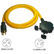 Conntek, 20610-010 10', 30A, Generator Power Cord with NEMA L14-30P to 5-15/20R*4