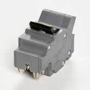Connecticut Electric VPKUBIF2100N Circuit Breaker Type UBIF Thick 2-Pole 100A Clamshell Packaged