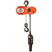 CM Shopstar Electric Chain Hoist 500 Lb. Capacity, 10 Ft. Lift 39 FPM 2-Step Controller