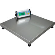 Adam Equipment CPWplus Digital Platform Scale W/Wheels, 165 lb x 0.05 lb, 19-11/16" Square Platform