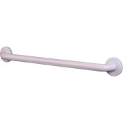 CSI Bathware 36" Straight Grab Bar, Stainless Steel, White - BAR-SB36-TW-125-PW