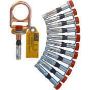 3M DBI-SALA® 2104562 Concrete D-ring Anchor, 10 Extra Bolts, Fixed, 310 Cap Lbs