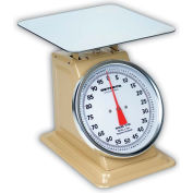Detecto T100 Top Load Scale 100lb x 4oz Enamel Finish W/ 10-1/2" Fixed Dial, 9" x 9" SS Platform