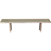 DC Tech Stainless Steel Bench BH101002 - Steel Top & Pedestals 72"W x 12"D x 18"H