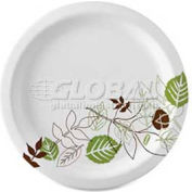 Dixie® DXESXP9PATHPK, Pathways Paper Plates, 8-1/2" Dia., Green/Burg/Wht, 125/Pack