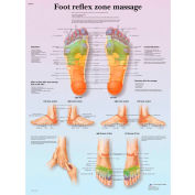 3B&#174; Anatomical Chart - Foot Massage, Reflex Zone, Laminated