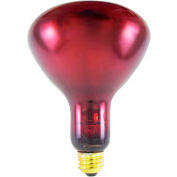 Infra-Red 175 Watt Ruby Replacement Bulb, 1 Each