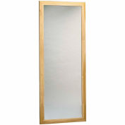 Plate Glass Mirror, Wall Mount, Vertical, 22&quot;W x 60&quot;H