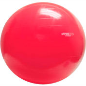 PhysioGymnic Molded Vinyl Inflatable Exercise Ball, 95 cm (38"), Red