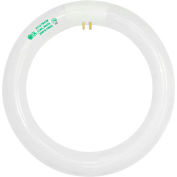 Goodlite Light Bulb G-10832, 120v, Cool White, 2000 Lumens, 4100k Light Color, 12"L x 1.25"W - Pkg Qty 12