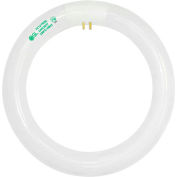Goodlite Light Bulb G-10833, 120v, Daylight, 2000 Lumens, 6500k Light Color, 12"L x 1.25"W - Pkg Qty 12