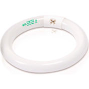 Goodlite Light Bulb G-10835, 120v, Cool White, 3000 Lumens, 4100k Light Color, 16"L x 1.25"W - Pkg Qty 12