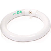 Goodlite Light Bulb G-10836, 120v, Daylight, 3000 Lumens, 6500k Light Color, 16"L x 1.25"W - Pkg Qty 12