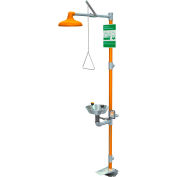 Guardian Equipment Safety Station with Eyewash, Hand and Foot Control, S/S Bowl/Shower Head
