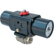 Gemini Valve® S/S Ball Valve W/500 Series Spring-Return Pneumatic Actuator, 1-1/4"